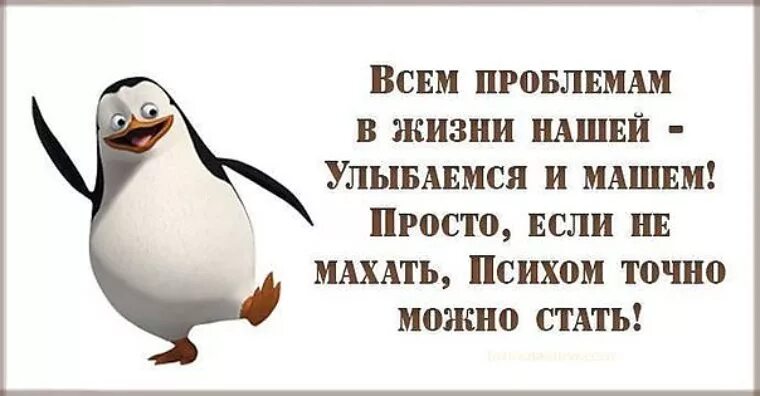 Всем проблемам в жизни нашей улыбаемся и машем. Шутки про трудности. Всем проблемам в жизни нашей улыбаемся. Всем проблемам в жизни нашей. Несмотря на все тяготы и неприятности