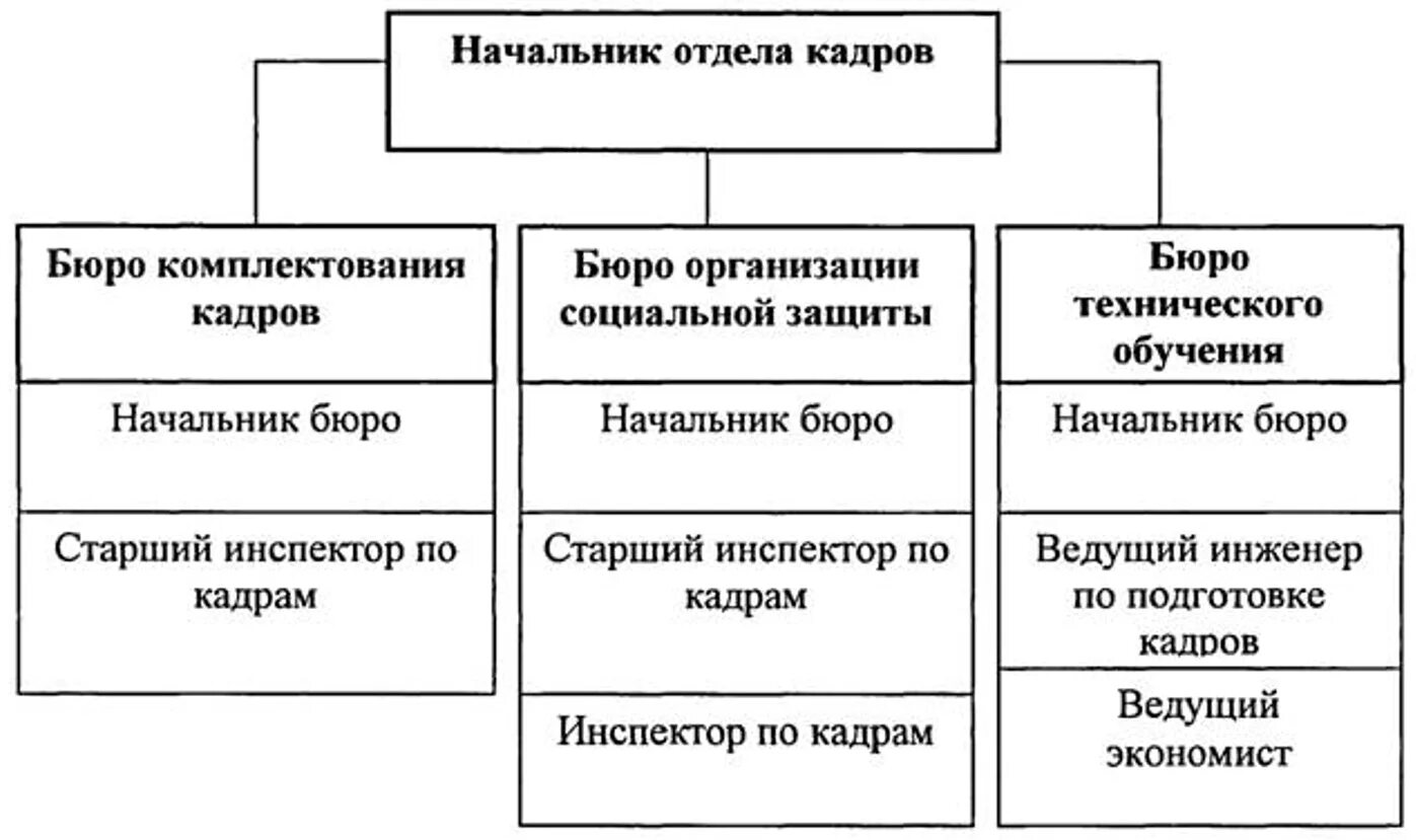 Передать в отдел кадров. Структура отдела кадров схема организации. Структура кадрового отдела. Структура отдела кадров на предприятии. Организационная структура отдела кадров схема.