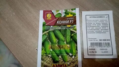 Огурцы конни описание сорта отзывы