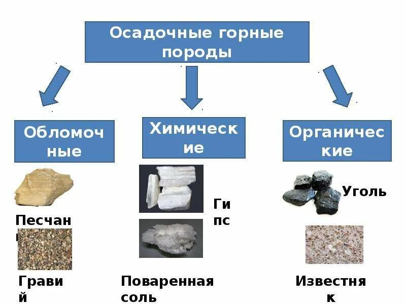 Ископаемые осадочного происхождения