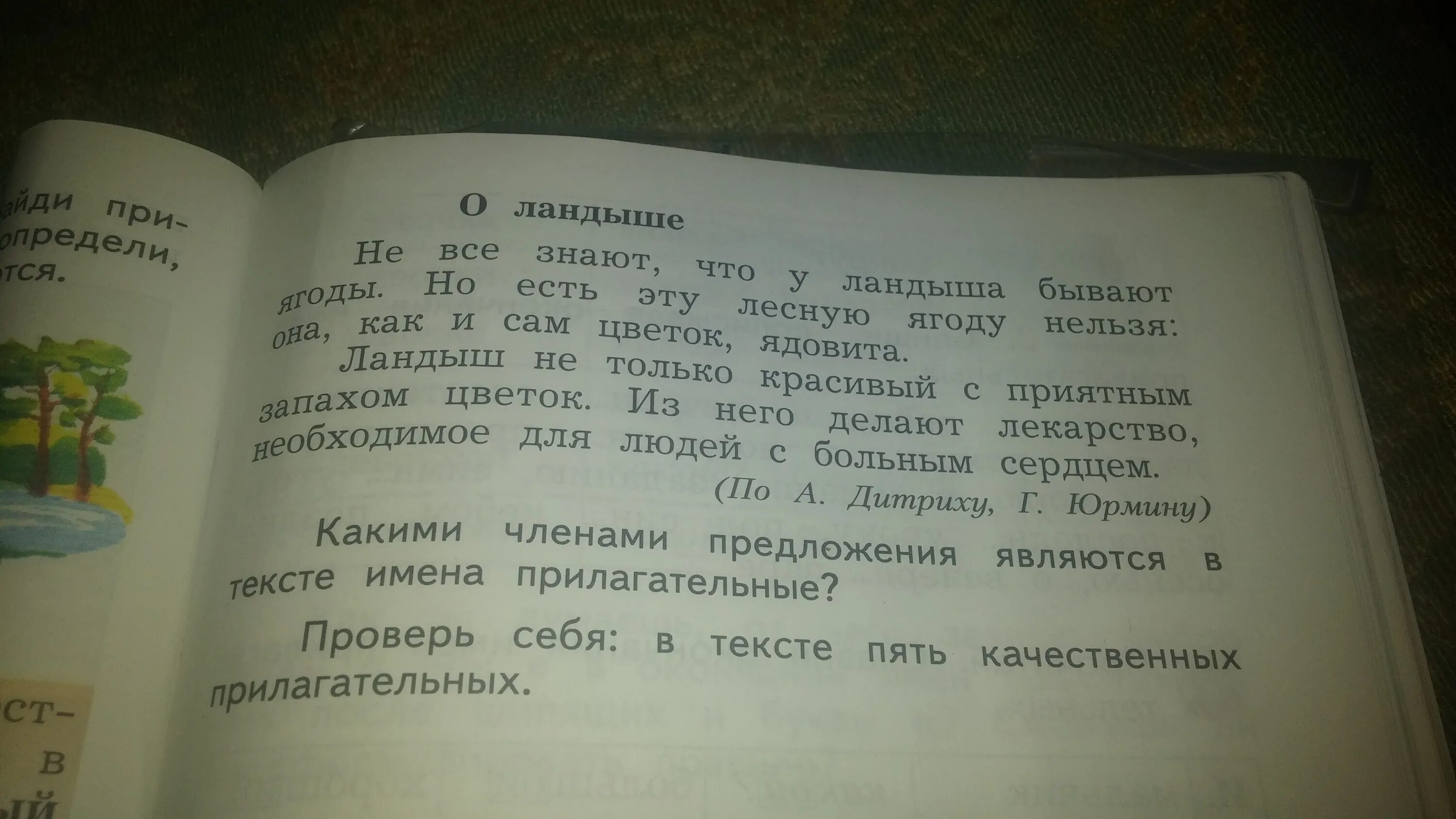 Предложение с прилагательным. Падеж. Вопросы падежей существительных. Выписать прилагательные из текста.