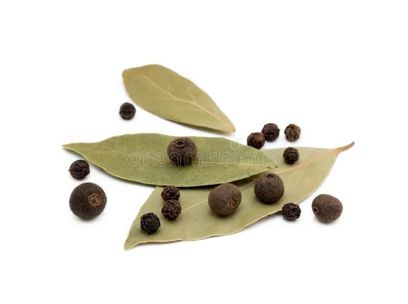Лавровый лист перец. Специи лавровый лист перец. Листья лавра. Лавровый лист и перец горошком. Перец душистый.