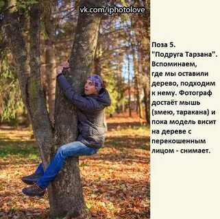 Подошел к дереву