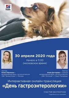 Ветеринар гастроэнтеролог