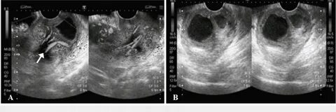 Qiz juda chiroyli nola qiladi, jinsiy nola qiladi