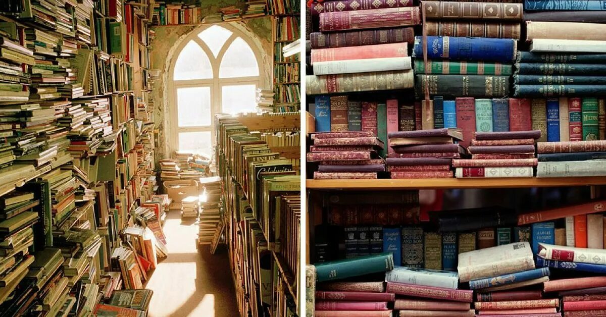 Коробочка органайзер. Books ideas. Books ideas. Декор книжных полок. Books ideas.