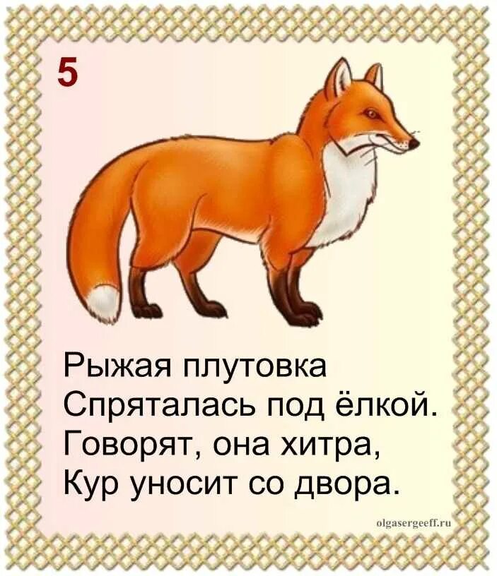 Хитрая лисица ловко заметает следы пушистым хвостом