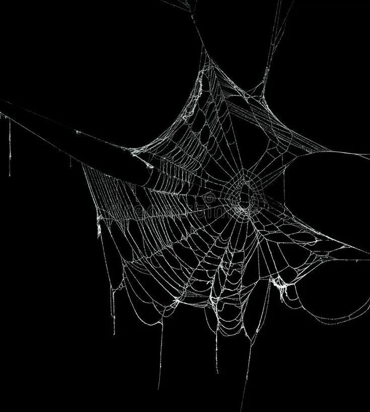 Spiders thread