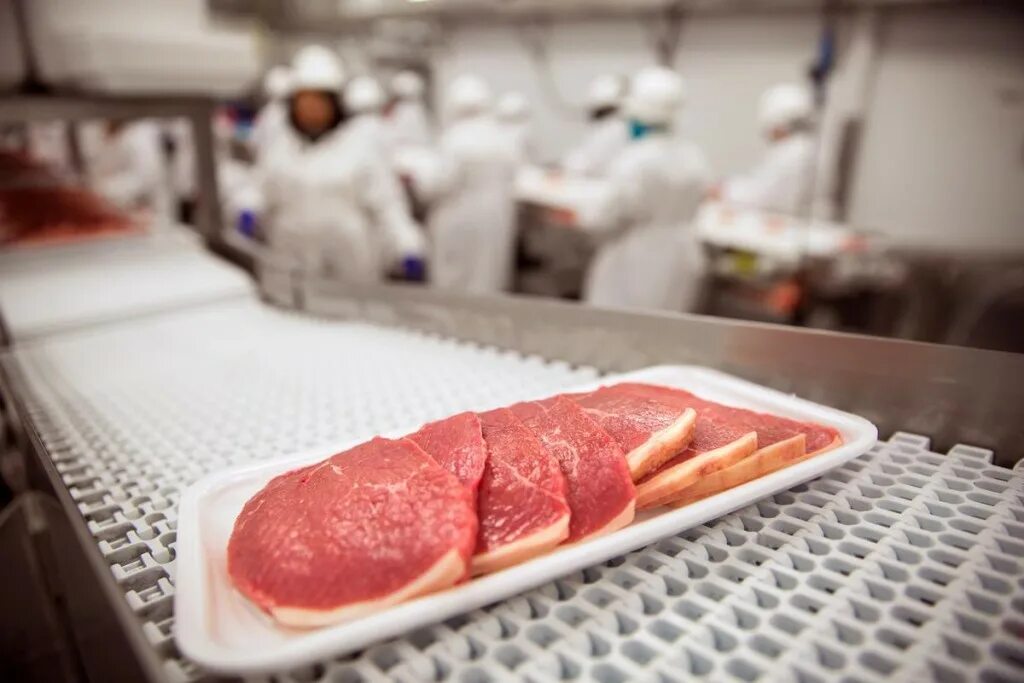 Современные технологии мясо. Предприятий мясной промышленности. Пищевая промышленность мясо. Мясоперерабатывающий цех.