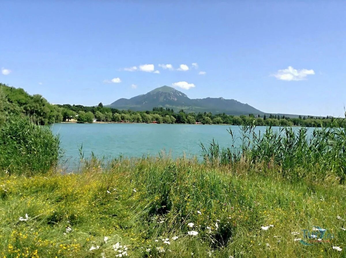 Озеро новопятигорское в пятигорске пляж. Пятигорское озеро. Озеро новопятигорское в пятигорске пляж. Пятигорское озеро. Новопятигорское озеро пляж.