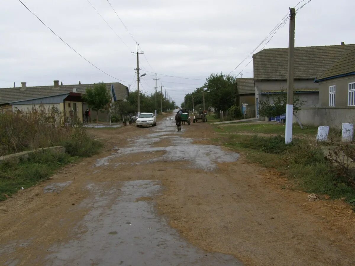 Одесский район улицы. Одесская область Татарбунарский район село Дельжилер. Дмитровка Татарбунарский район. Село димитровкат атарбунарский район население. Село Дмитровка Одесская область.