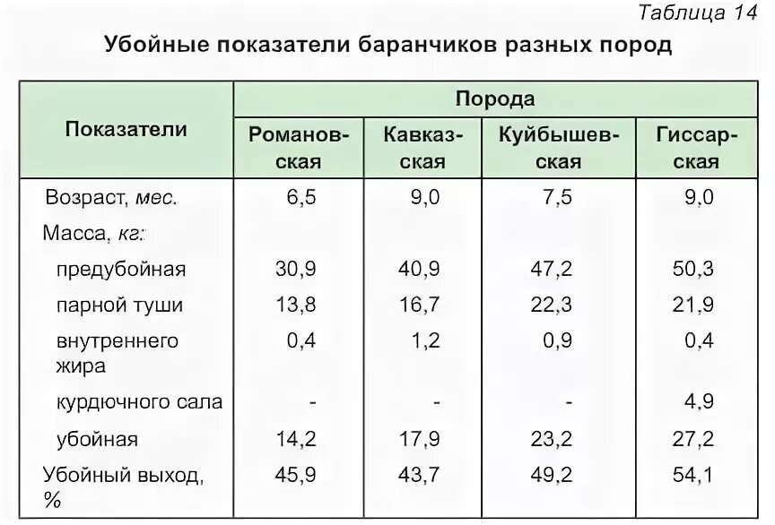 Выход мяса баранины от живого веса таблица. Выход мяса баранины от живого веса. Живой вес барана выход мяса. Калькуляция живой вес барана. Сколько вес барана