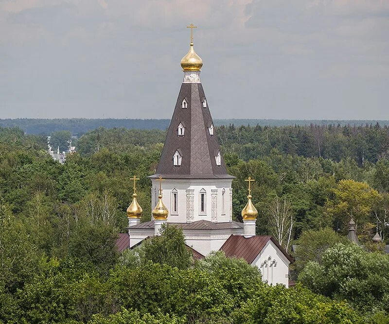 Медвежьи озера памятник. Храм Медвежьи озера. Медвежьи озера Церковь Ксении Петербургской. Храм Медвежьи озера восстановление. Монастырь в Медвежьих Озерах.