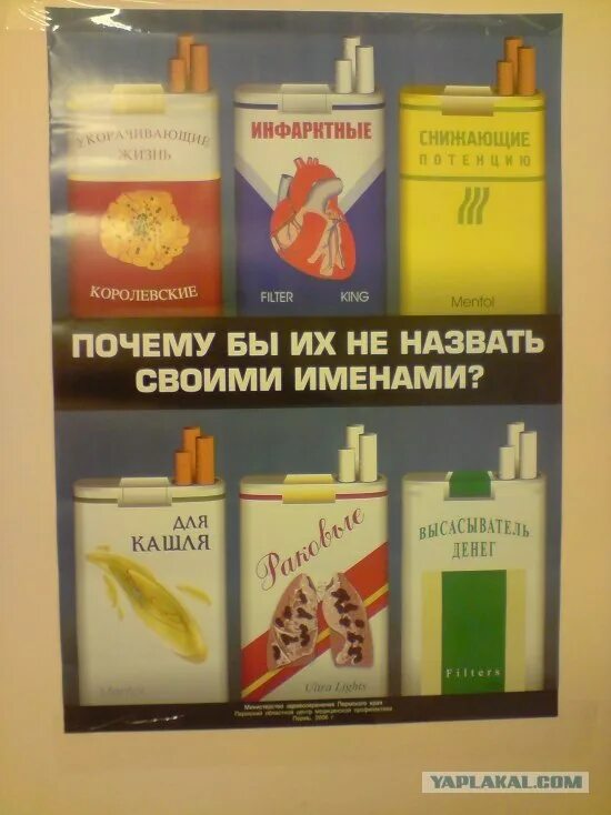 Сигареты название всех фото. Марки сигарет. сигареты названия. лёгкие сигареты. лёгкие сигареты марки.