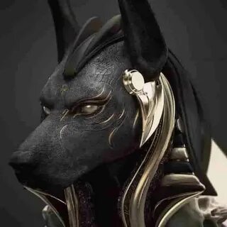 Kute raizhell anubis