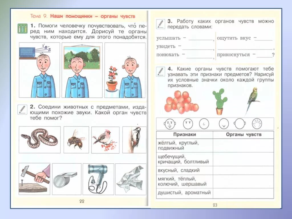 Органы чувств задания. Задания на тему органы чувств для дошкольников. Окружающий мир темы. Органы чувств 1 класс задания.