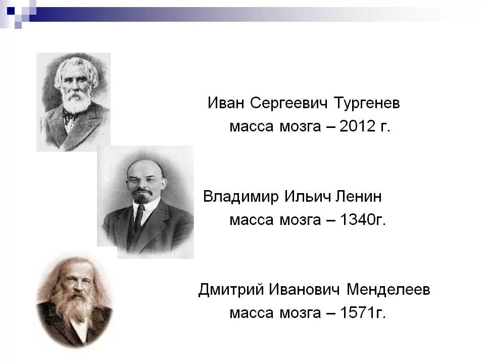 Тургенев масса мозга. Менделеев масса мозга. Мозг Менделеева вес. Вес мозга великих людей. Ленина тургенева