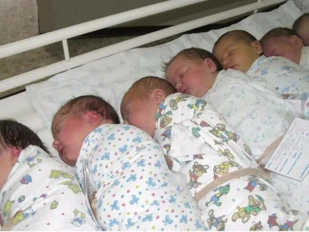 Новорожденные малыши в роддоме.