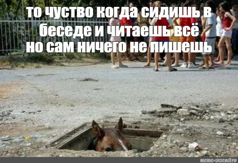 В беседе всегда есть. Человек который читает но не пишет. тот человек который читает сообщение и не отвечает. человек который сидит в беседе и молчит. когда сидишь в беседе и не пишешь.