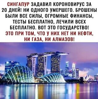 Образцы 2020