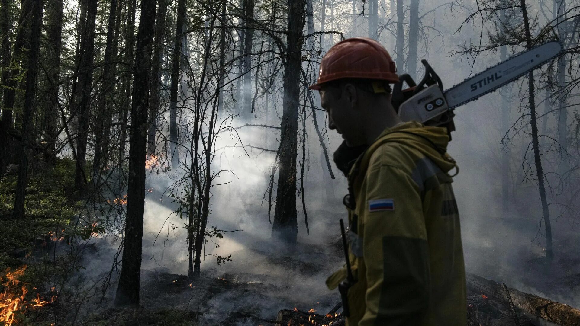 Лесные пожары. Лесные пожары в России. Борьба с лесными пожарами. Лесные пожары в Сибири.