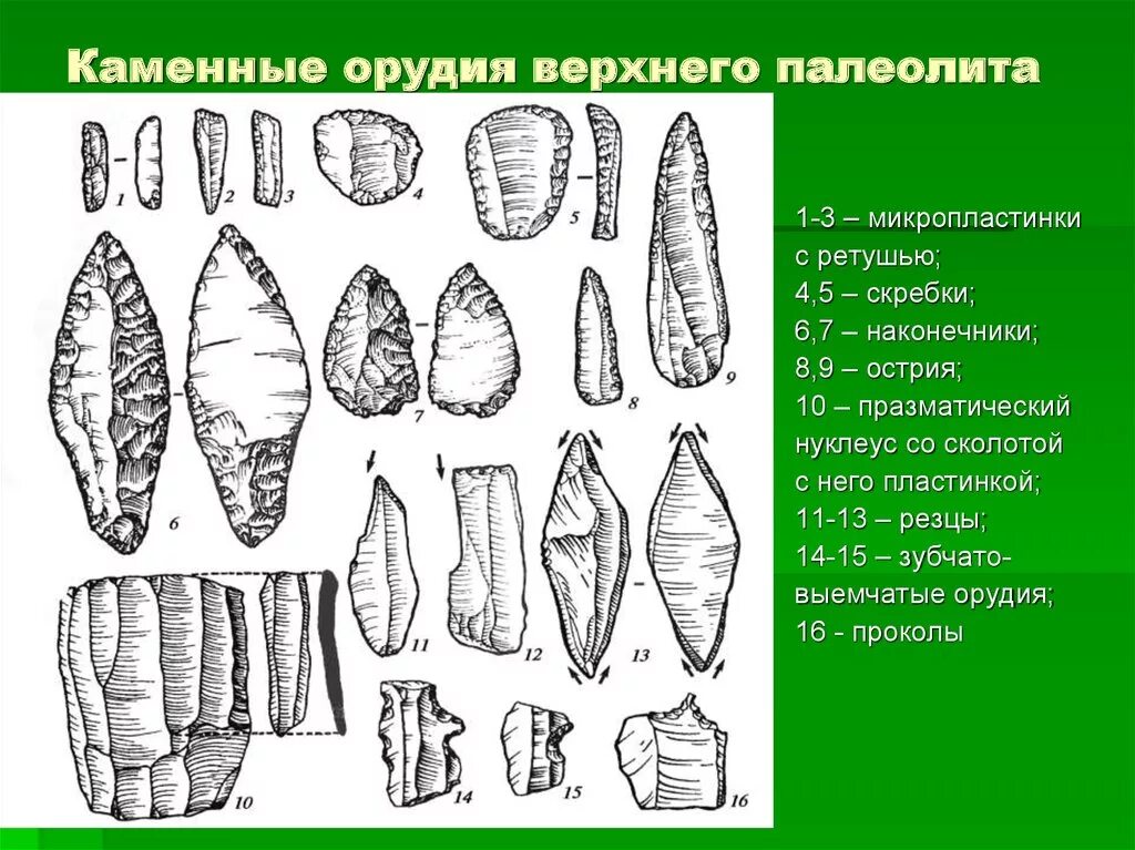 Каменные орудия палеолита. Орудия труда в период палеолита. Орудия труда первобытного человека палеолит. Каменные орудия эпохи палеолита. Каменные орудия ашельской культуры раннего палеолита.