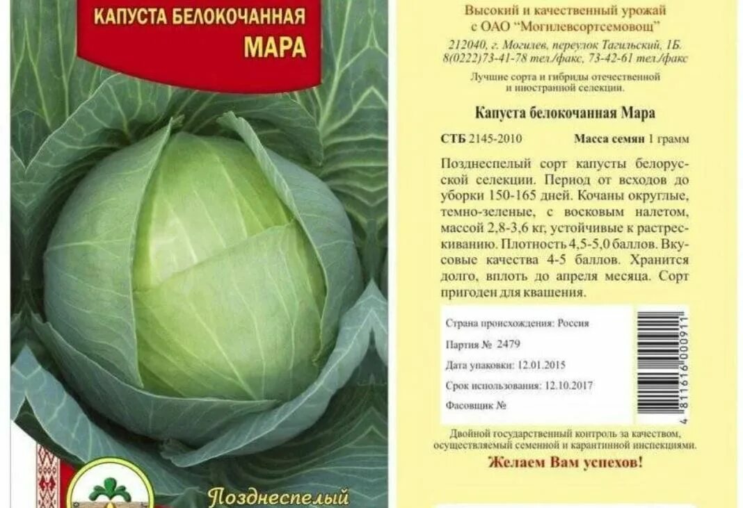 Капуста белокочанная свежая сорт Парадокс - Доставка от Шруба!