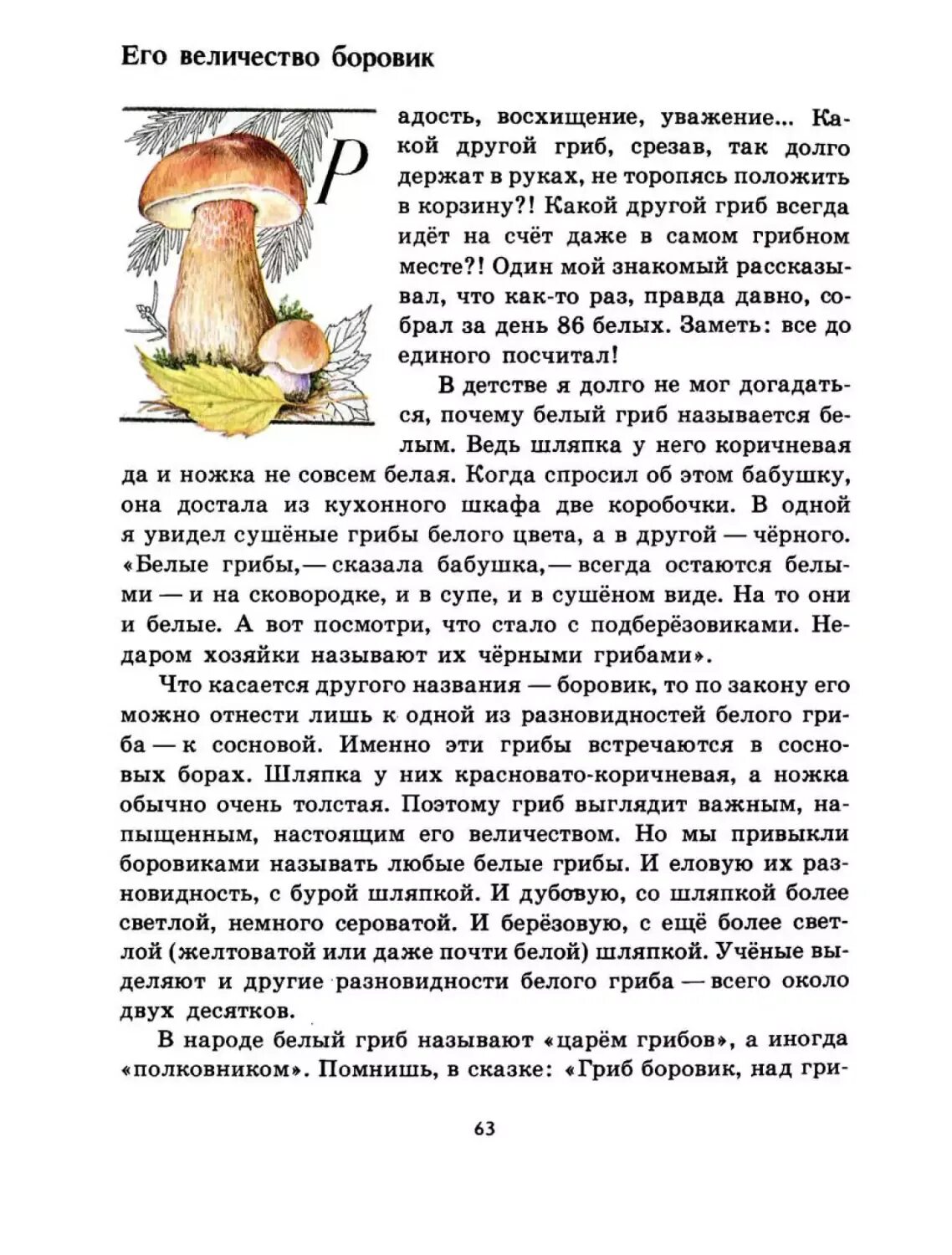 Зелёные страницы 3 класс окружающий мир грибы Боровик. Рассказ его величество Боровик. Плешаков зеленые страницы грибы. Его величество Боровик зеленые страницы. Боровик вопросы