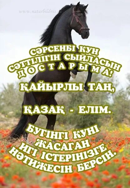 Қайырлы таң фото новые. Сәрсенбі күн. Сәрсенбі күн. Кайырлы кун открытки. Кайырлы кун красавица.