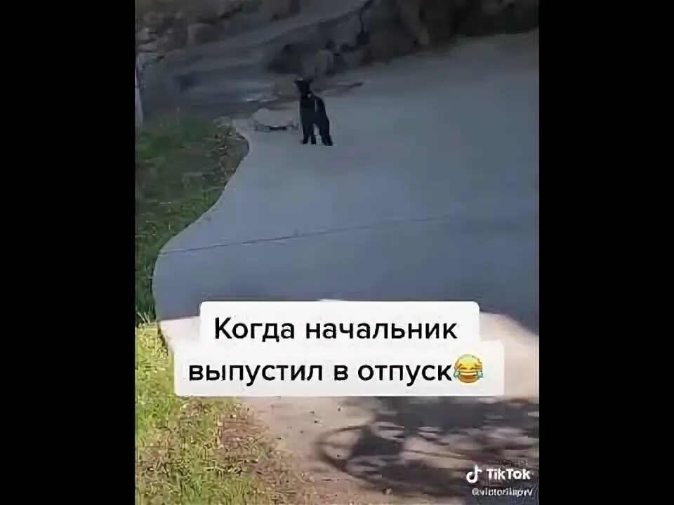 Анекдоты про отпуск в картинках. Анекдот про отпуск и начальника. Шеф в отпуске. Начальник в отпуске. Теперь добби свободен.