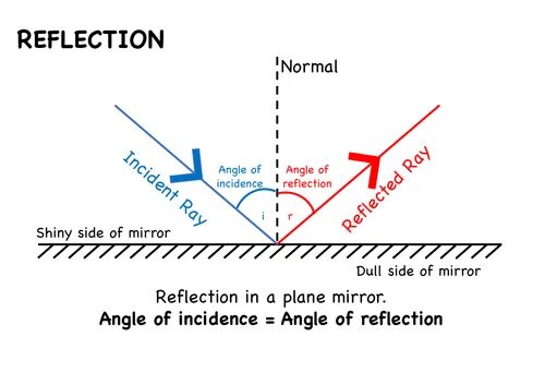 What is reflected in
