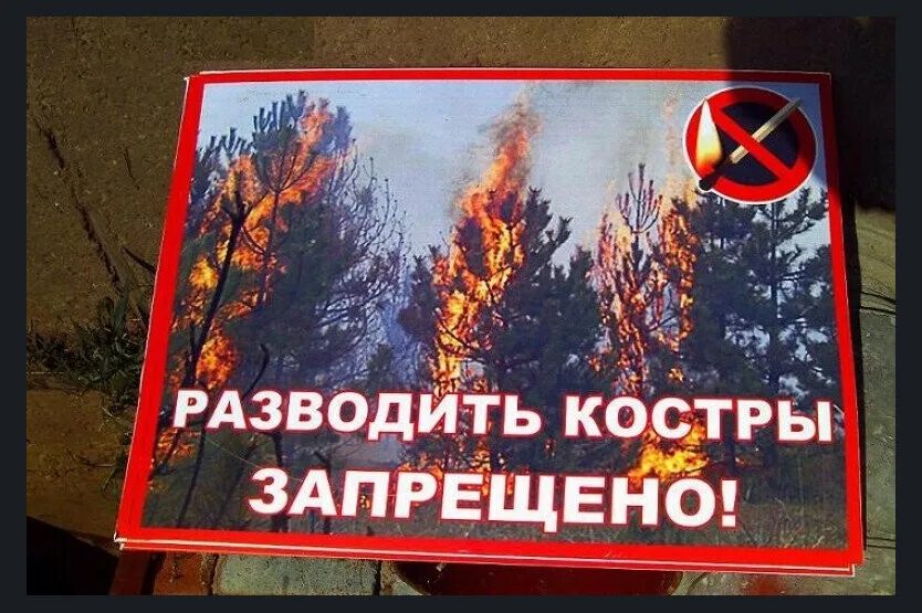 С какого числа запрещено жечь костры. Запрещено разжигать костры. запрещено разводить костры в лесу. разведение костров запрещено. противопожарные аншлаги в лесу.