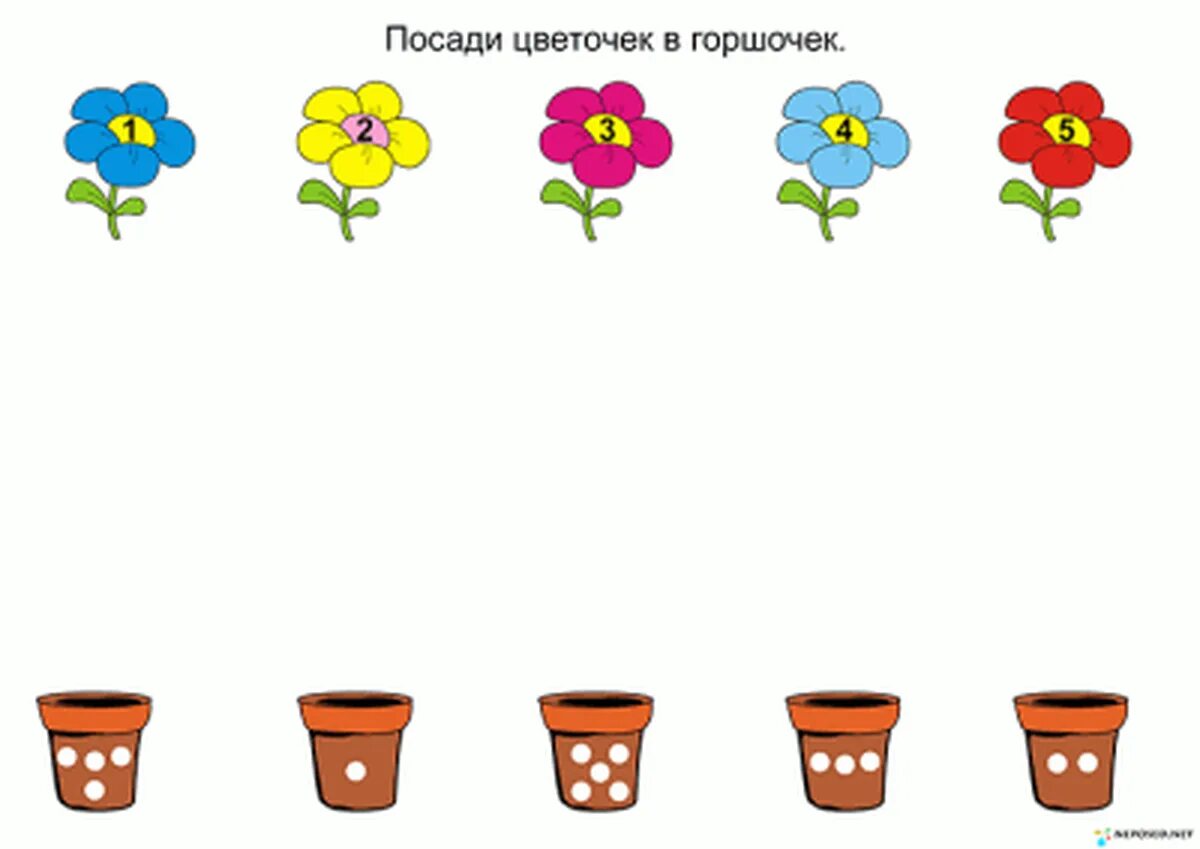 Растения вторая младшая группа планирование. Развивающее занятие цветы. Цветы задания для детей. Задания по комнатным растениям для дошкольников. Комнатные растения для дошколят.