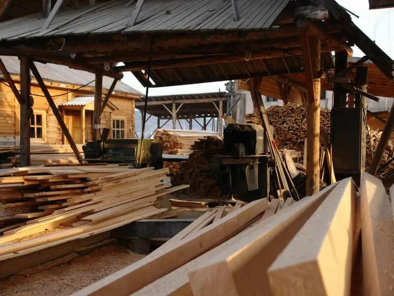 Пилорама лесная промышленность. Пилорама лесхоз. Ленточная пилорама байкал улпг-82. Дисковая пилорама горизонтального пиления. Роботизированная работа на лесопилке.