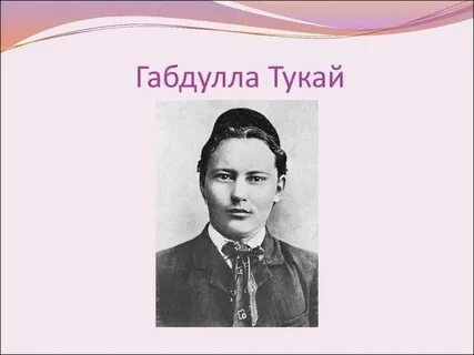 Г тукай анализ