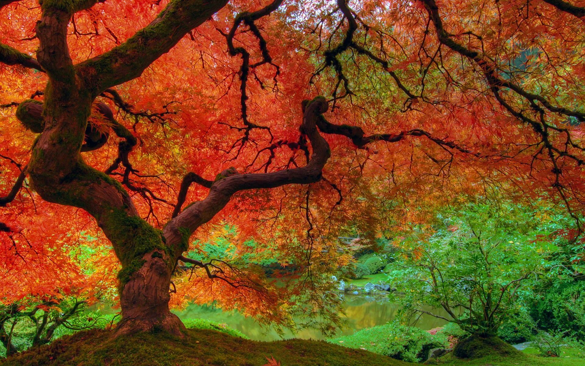 Fall in colours