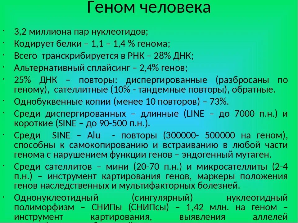 Характеристика генома человека. Гены человека список. Структура генома человека. Особенности гены человека.