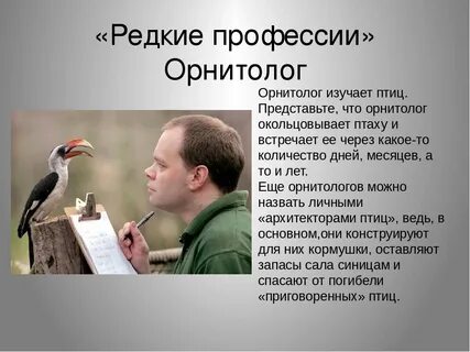 Как называются ученые изучающие птиц