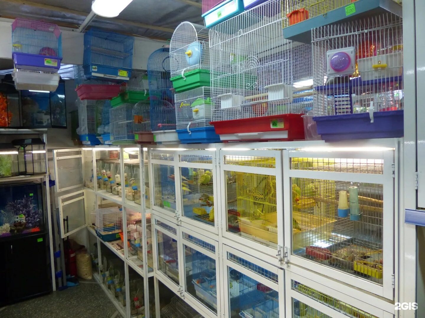 Зоомагазин на первомайской. Зоомагазин хитрый рынок омск. зоомагазины в омске в нефтяниках. аквариус ростов-на-дону. зоомагазины в комсомольске на кирова.
