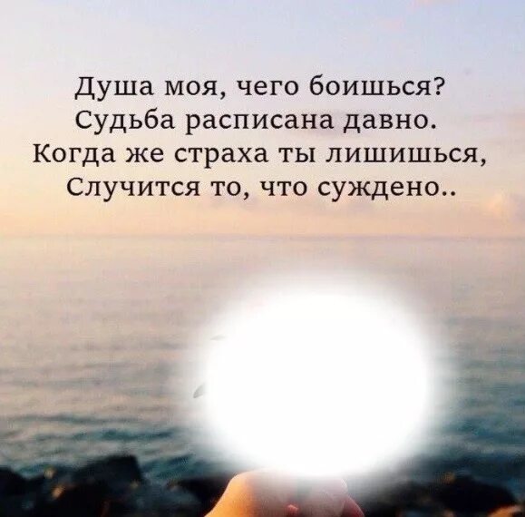 Там жили в душу душа. Моя душа: что это такое?. Душа моей души. Душе моя. Душевные цитаты.