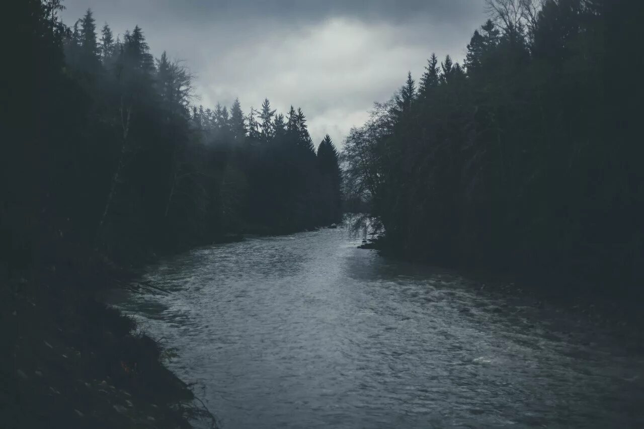 Темная река. Мрачная река. Река Эстетика. Река в темном лесу.