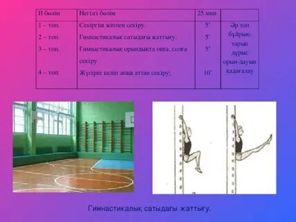 Майлы транспорно онлайн