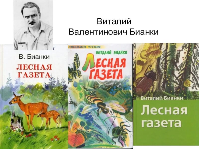 Писатель бианки для детей. Бианки писатель. Бианки о родине.