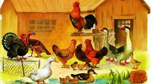 Студентпен тұрған жыныстық қатынас