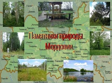 Проекты мордовии