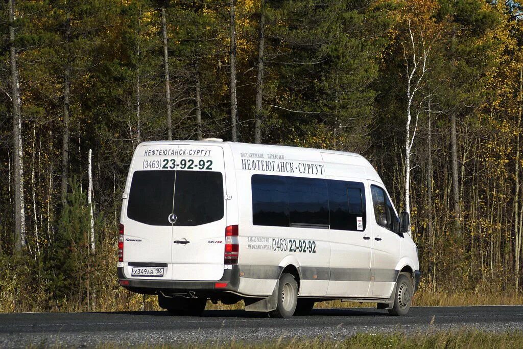 Маршрутное такси сургут. MB Sprinter Луидор. Маршрутка Нефтеюганск Сургут. Луидор-223602 (MB Sprinter). Автовокзал Сургут Нефтеюганск.