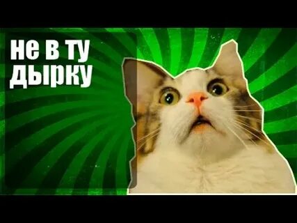 Случайно не в ту дыру