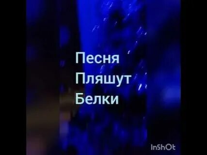Песенка новогодняя пляшут белки