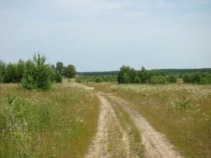 Ленино рязанская область