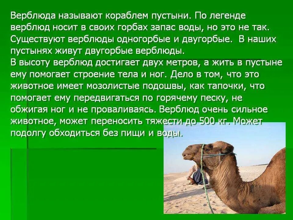 Сообщение как оно